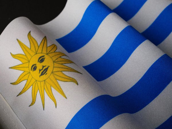 Uruguay joins the Patent Cooperation Treaty - PCT